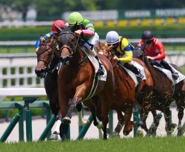 【新馬戦】ジーティーサクラ 末脚さく裂！西の一番星獲り 驚異の上がりタイムに吉岡師「調教通り。言うことない走りだった」