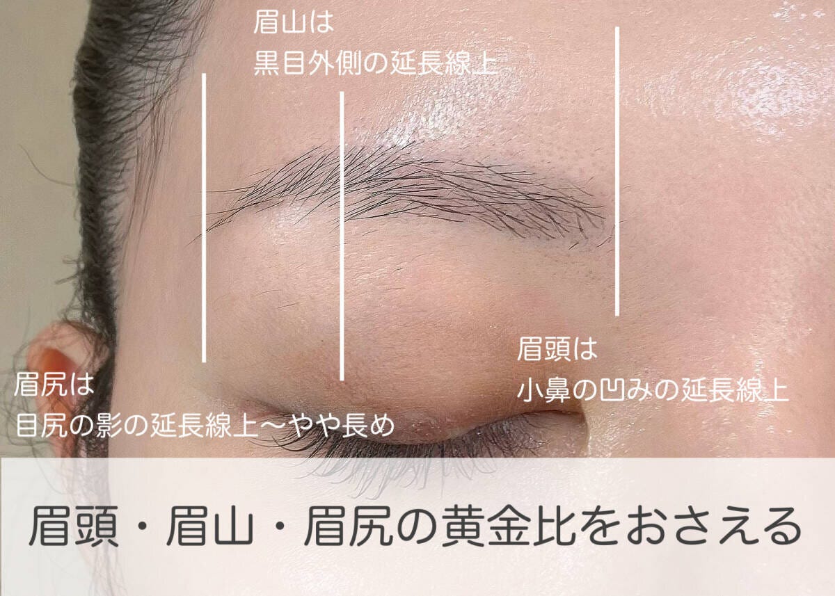 眉頭・眉山・眉尻の黄金比の位置をラインで示した図解