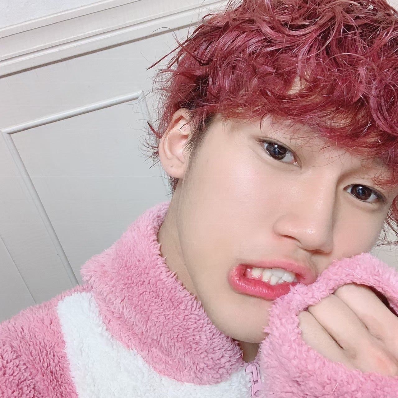 ヒュマ（提供画像）