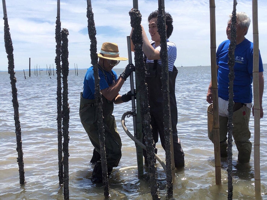 （中央）中村七之助（提供写真）