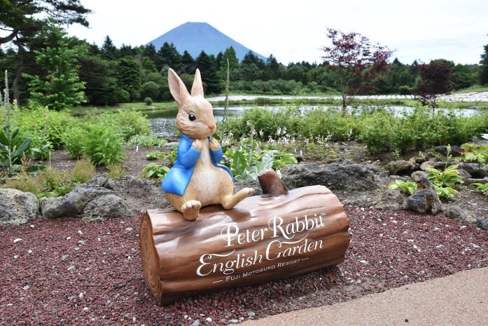 富士山を背景にピーターラビットと草花と一緒にパチリ