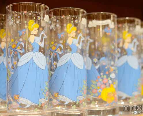 ディズニー、美しすぎる大人のためのプリンセス