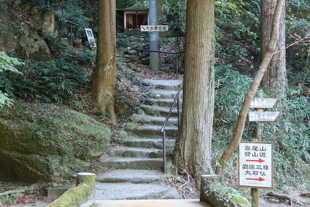 地元ライターおすすめ！大自然の中で紅葉が見られるスポット【和歌山県田辺市】