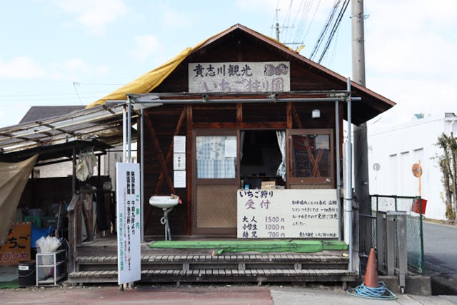 いちご狩り園