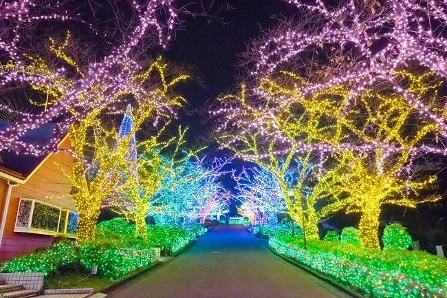 よみうりランド ジュエルミネーション／画像提供：よみうりランド