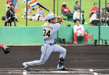 阪神・岡城が緊急昇格 由宇の試合前練習から離脱し、福岡へ移動したとみられる 2軍では打率．208