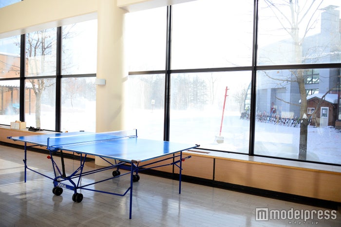 卓球台（C）ビューティーガール