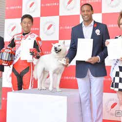 赤い羽根「災害ボランティア・NPO活動サポート募金」スペシャルサポーター就任記念イベントに出席した(左から)高井康行副会長、須貝義行、白戸次郎、ダンテ・カーヴァー、くみっきー