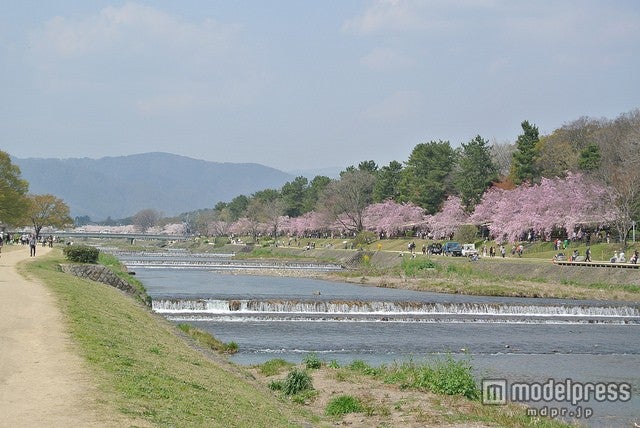 加茂川／photo by PYONKO