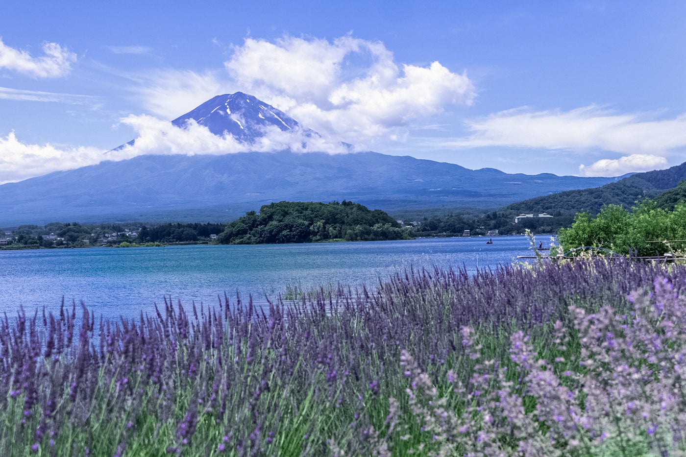 グランファーム富士河口湖／画像提供：ブッキングリゾート