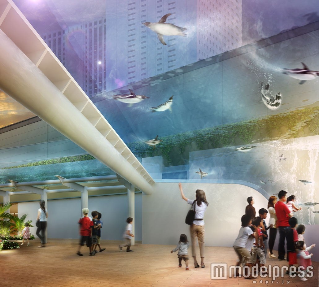 ペンギンが天空を泳ぐ？「サンシャイン水族館」に5つの新展示