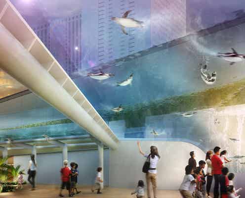 ペンギンが天空を泳ぐ?「サンシャイン水族館」に5つの新展示