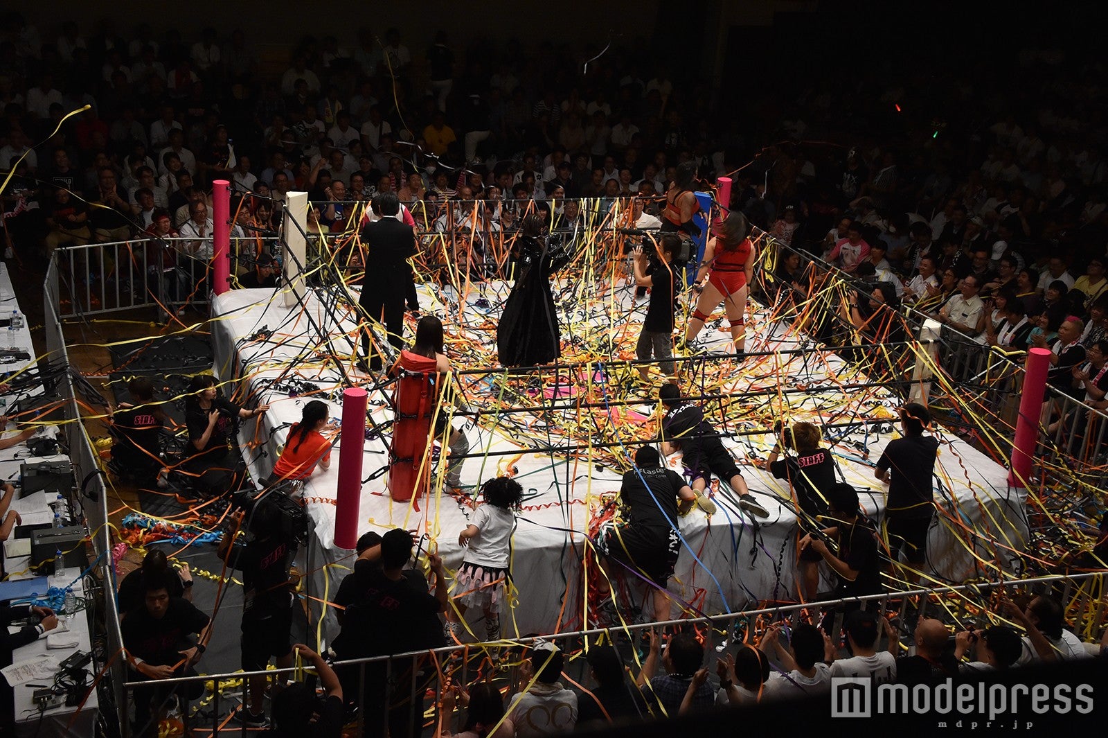 豆腐プロレス The REAL 2017 WIP CLIMAX（C）モデルプレス