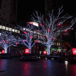 「第47回 渋谷パラダイス・ハチ公前イルミネーション」/画像提供:渋谷道玄坂商店街振興組合