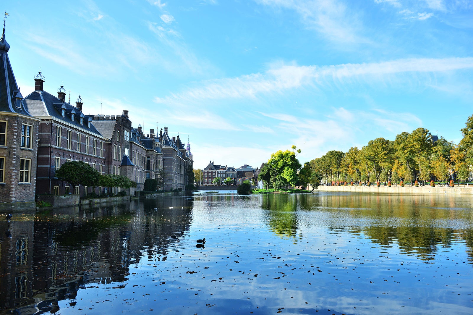 ハーグ（提供写真）