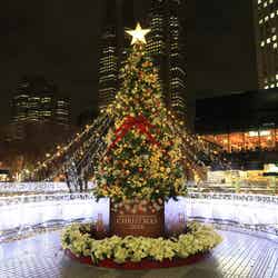 新宿の街に30万球のイルミ輝く、クリスマスムード漂うロマンチックな夜を演出／画像提供：西新宿街ぐるみプロジェクト