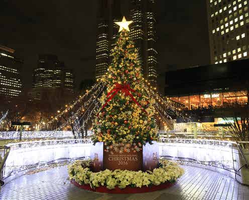新宿の街に30万球のイルミ輝く、クリスマスムード漂うロマンチックな夜を演出
