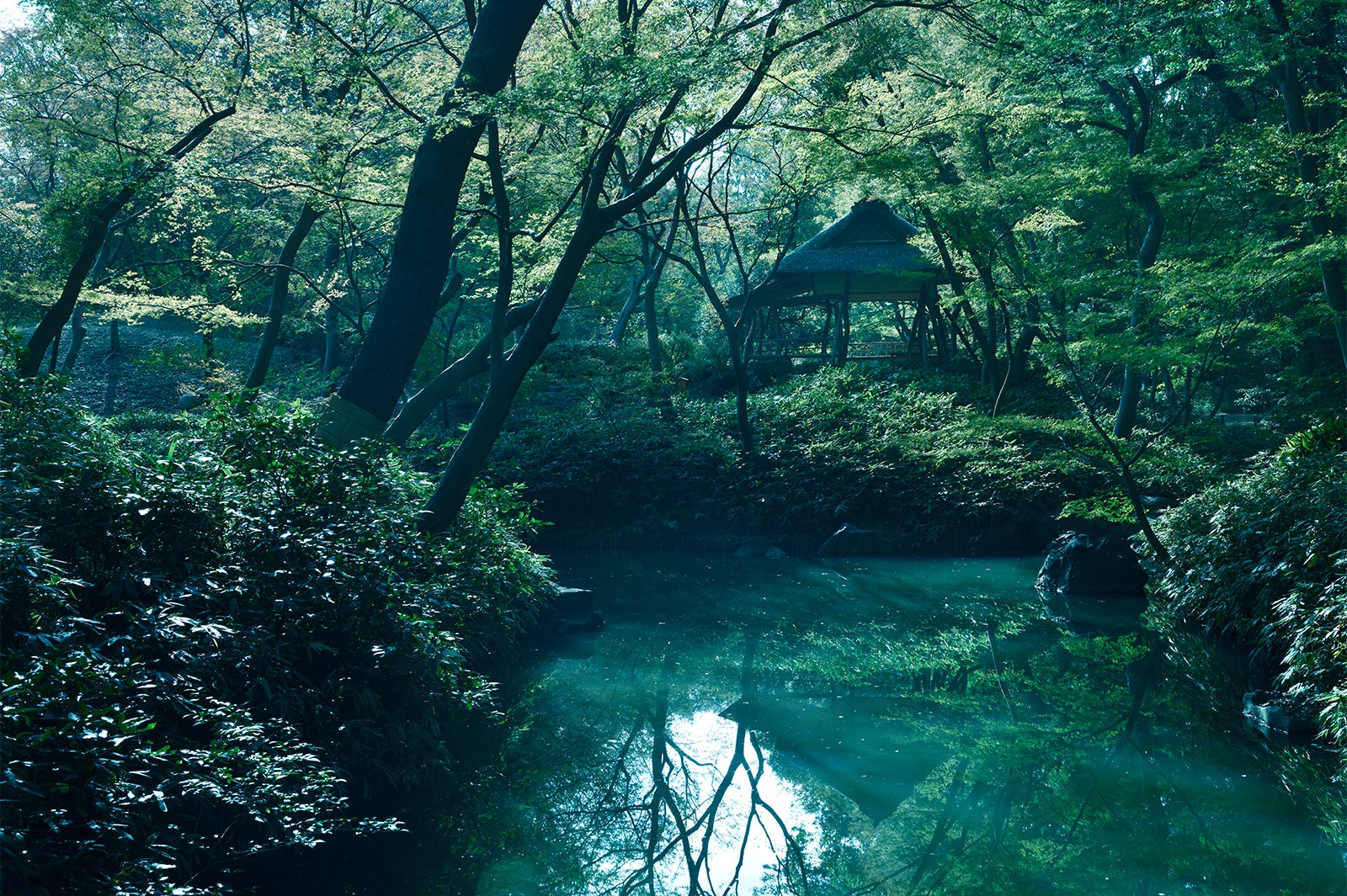 六義園／画像提供：東京地下鉄