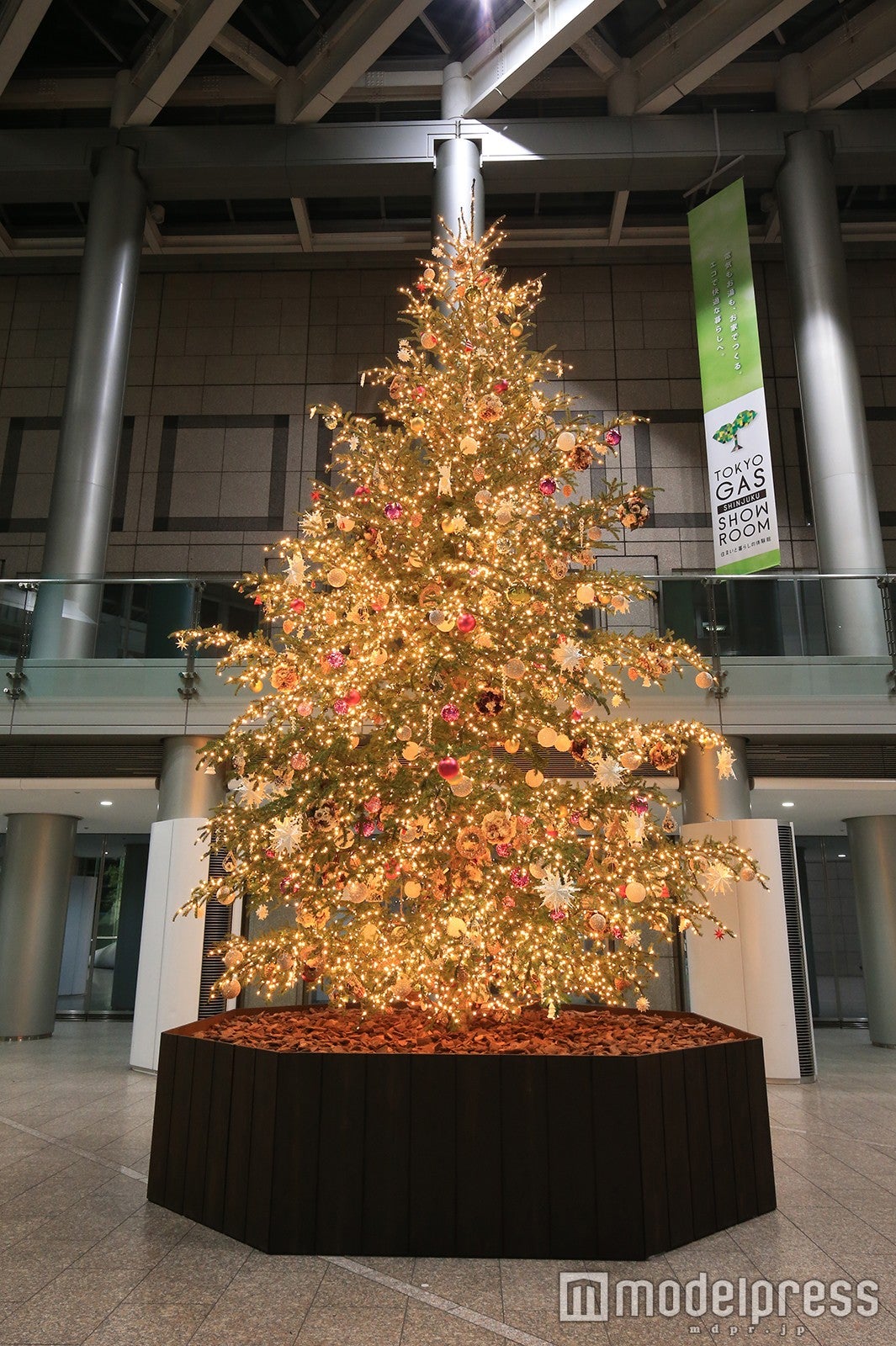 新宿パークタワー・モミの木のクリスマスツリー／画像提供：西新宿街ぐるみプロジェクト