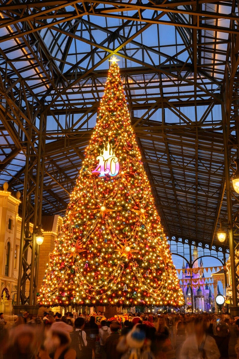 40周年のマークがついた今年だけのクリスマスツリー