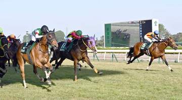 【新潟大賞典】グランディアが初タイトル 西村淳「7歳ですけど、まだまだフレッシュ」 2週連続重賞勝利に歓喜