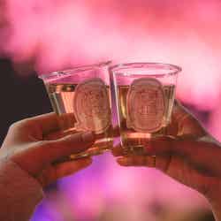 花見灯夜2026/提供画像