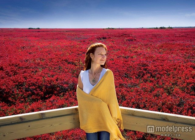 安全に楽しく旅をしよう／Photo by New Brunswick Tourism | Tourisme Nouveau-Brunswick