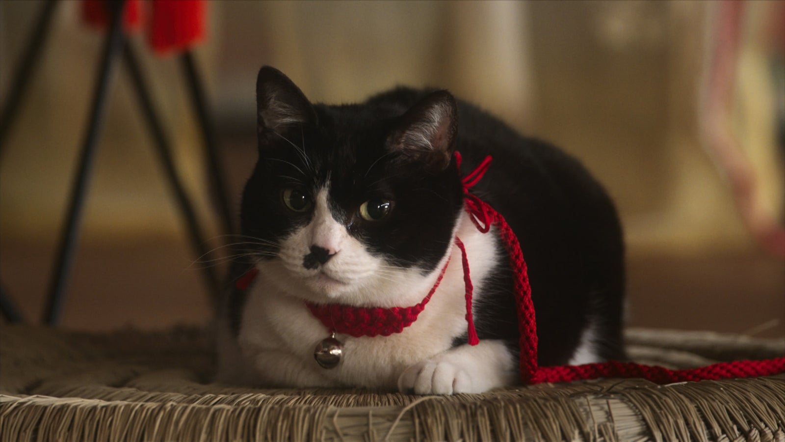 「光る君へ」第26話（C）NHK