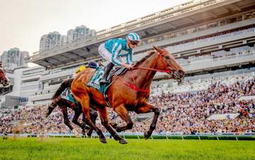 【クイーンエリザベス2世C】マスカレードボール あと一歩も2着 絶対王者ロマンチックウォリアーの勢い止められず