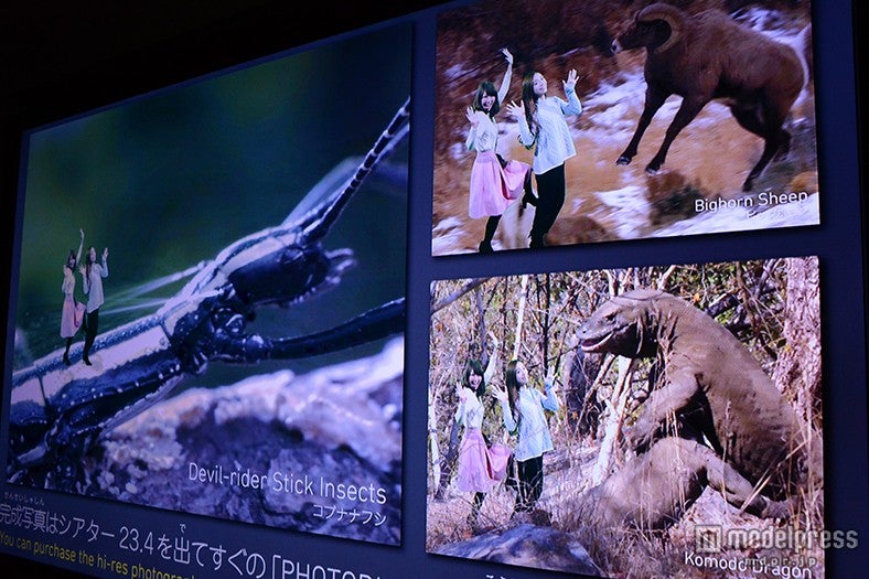 面白い合成写真を撮影できる「エクストリーム フォトスポット」