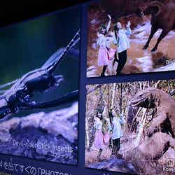 面白い合成写真を撮影できる「エクストリーム フォトスポット」