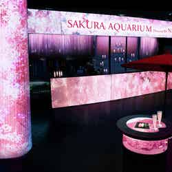 「花灯」※イメージ/画像提供:横浜八景島