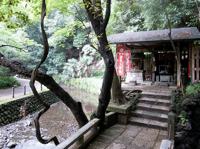 等々力渓谷／Photo by _kou