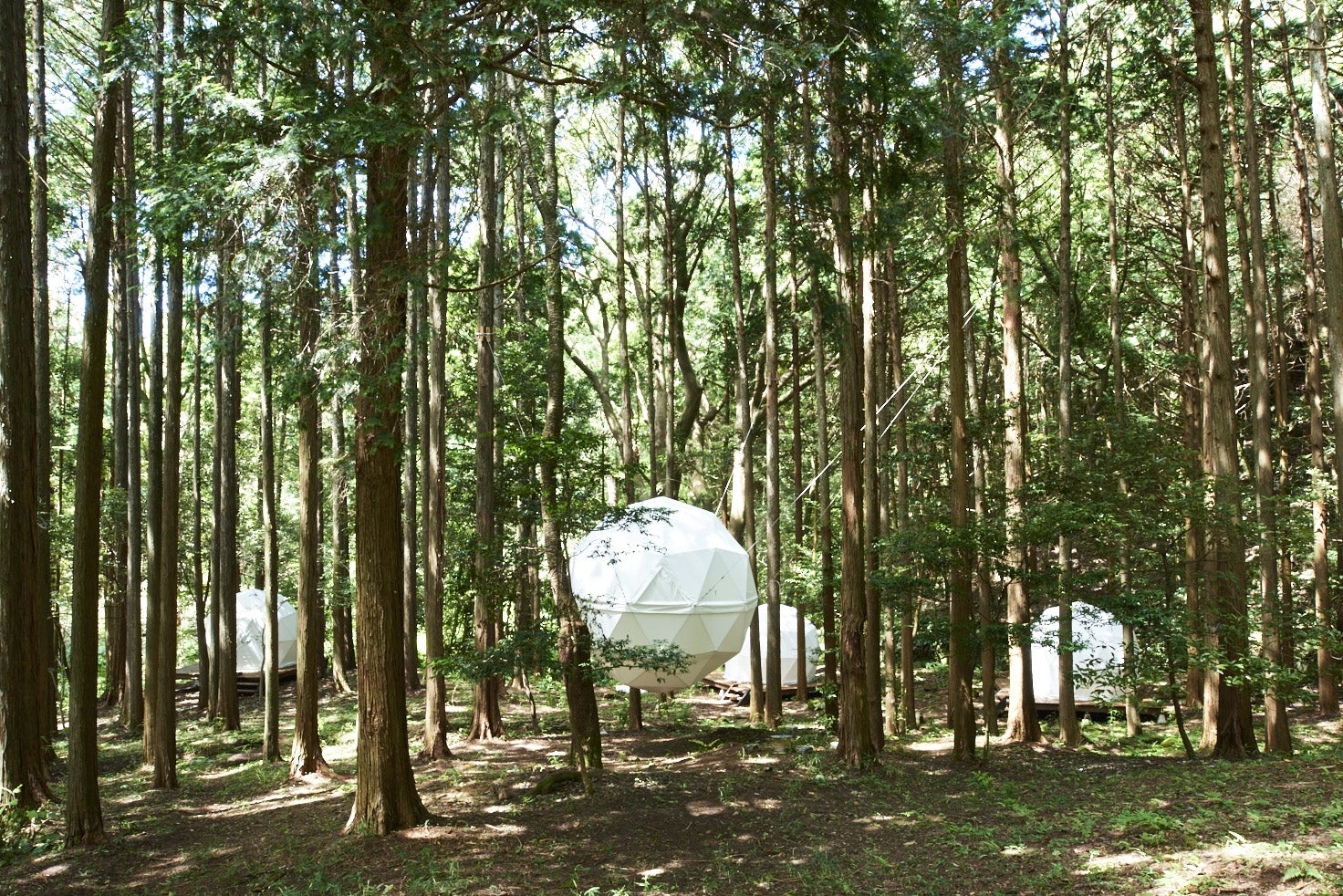 INN THE PARK／画像提供：株式会社インザパーク