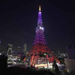 乃木坂46カラーの東京タワー（提供写真）