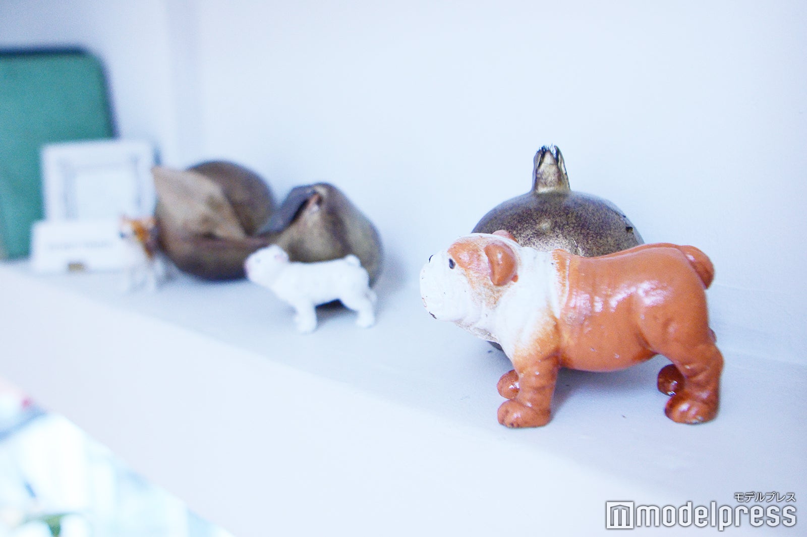 TREE by NAKED yoyogi park（C）モデルプレス