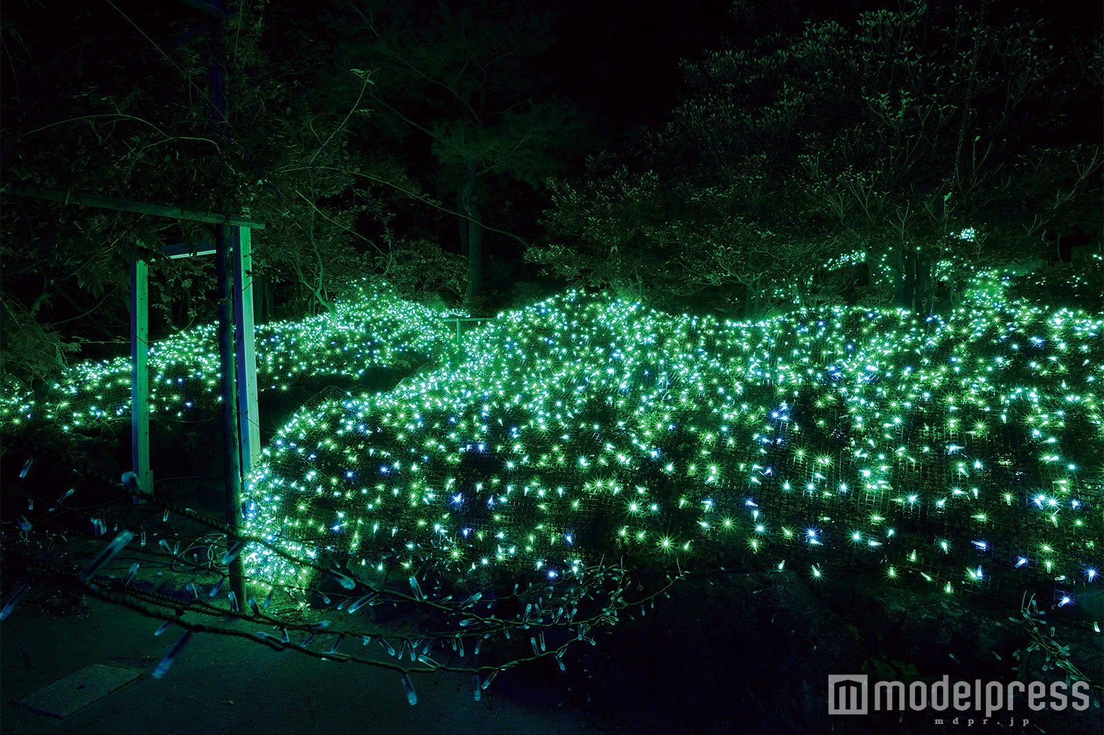 エメラルドジュエリ／画像提供：日本庭園 由志園