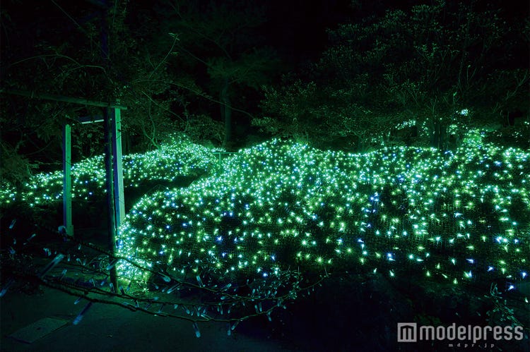 画像7 13 7色ライトアップに70万球ジュエルイルミ 見所満載 由志園 のイルミネーションが凄い モデルプレス