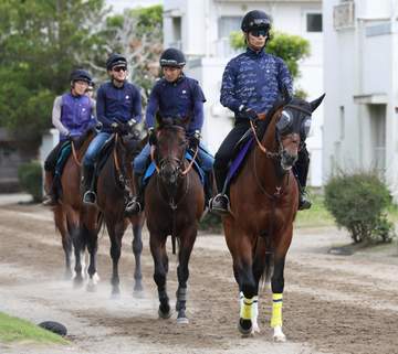 【安田記念】レーベンスティール 希望通りの内枠1番 田中博師「壁ができた方が脚がたまりやすいので」