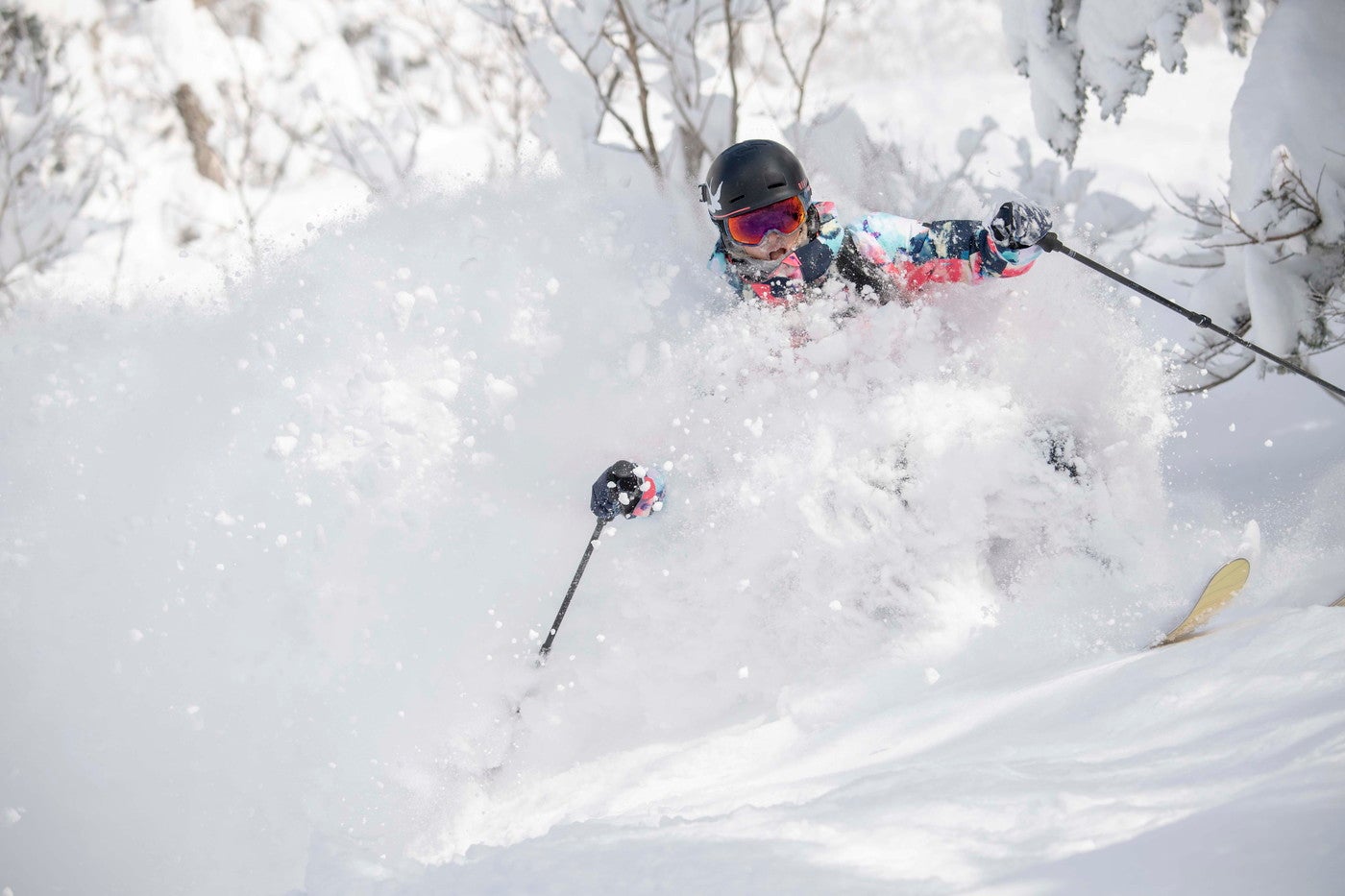 雪ニセコ／画像提供：ニセコマネージメントサービス