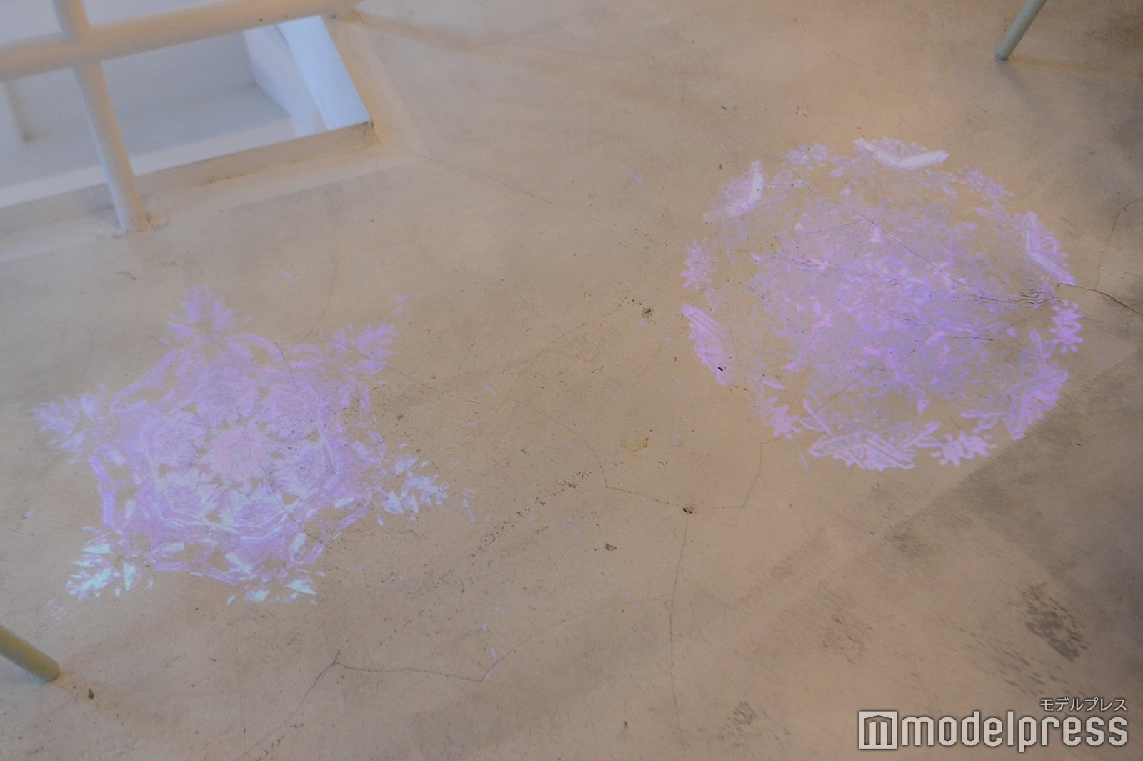 TREE by NAKED yoyogi park（C）モデルプレス