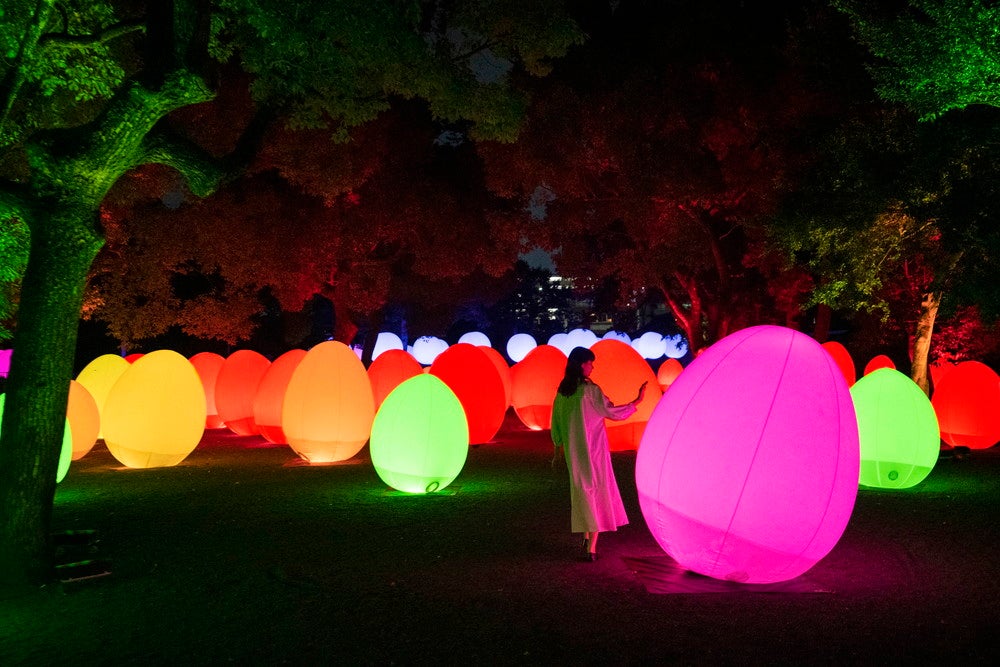 自立しつつも呼応する生命と呼応する木々／画像提供：チームラボ