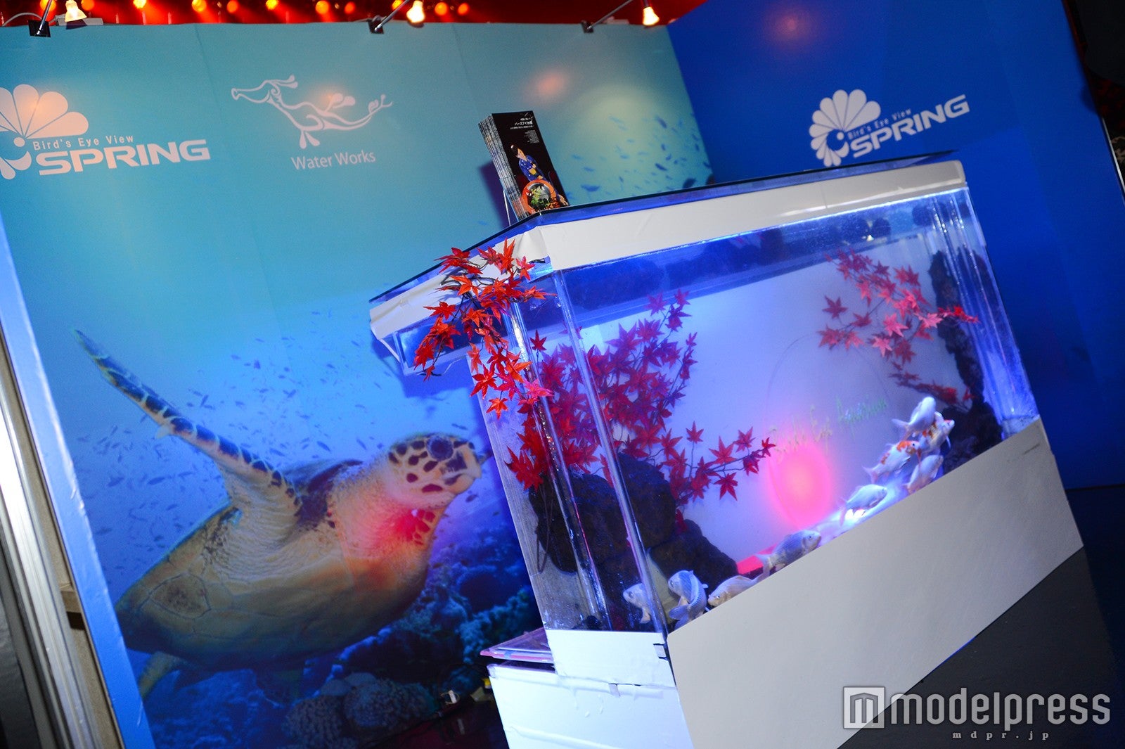 五感を刺激するコンテンツが展開（C）モデルプレス