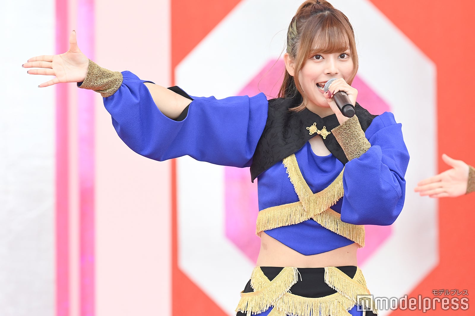 豆柴の大群（C）モデルプレス