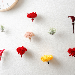 真っ白な壁がおしゃれに変身 お花を壁面に飾る新感覚インテリアグッズ モデルプレス
