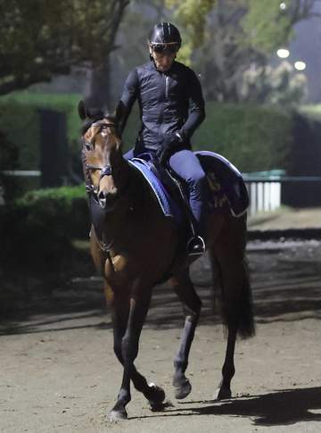 サトノレーヴ 今夏も欧州遠征へ 香港から英国に移動 クイーンエリザベス2世ジュビリーS含め複数レースに登録して出走決める