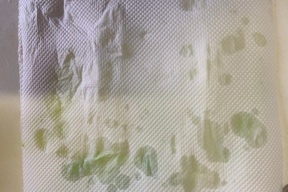 家事ヤロウ「木村拓哉のきのこ入りつくねと白菜の重ね蒸し」