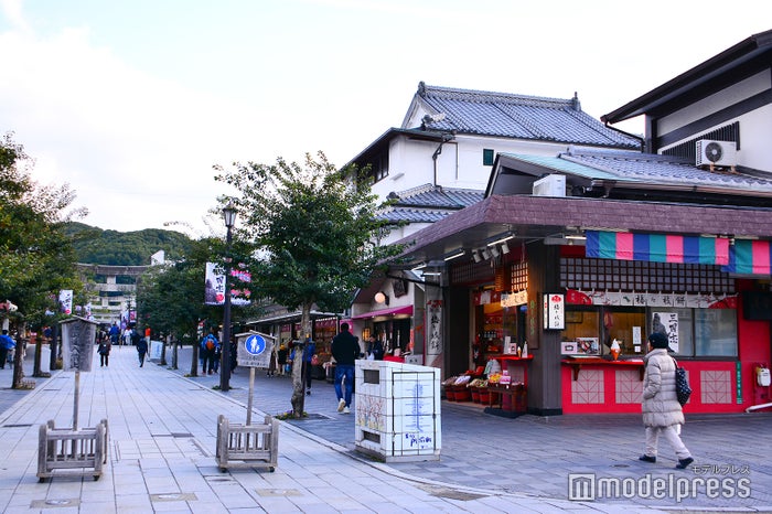 本宮へ続く表参道(C)モデルプレス