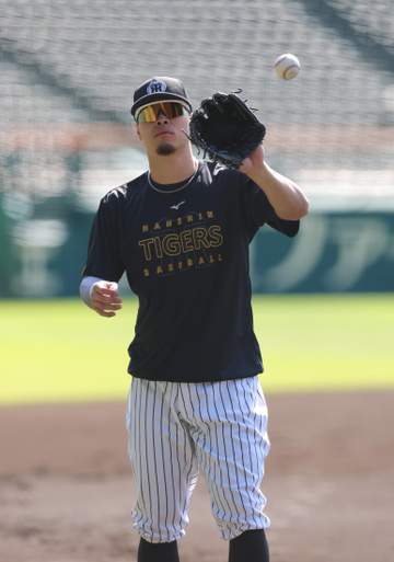 阪神 佐藤輝明が3日ぶり屋外練習 甲子園でノックを受けて軽快な動き披露 CSファイナル第1戦でコンディション不良