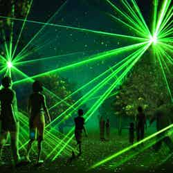 スターダストフォレスト/画像提供:カトープレジャーグループ